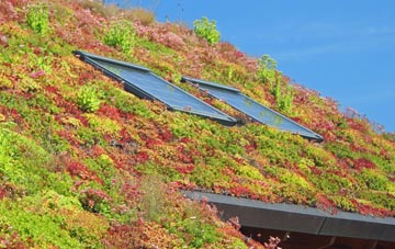 Hateley Heath living roof systems